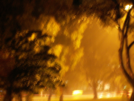 Northbourne Avenue at night, in the rain